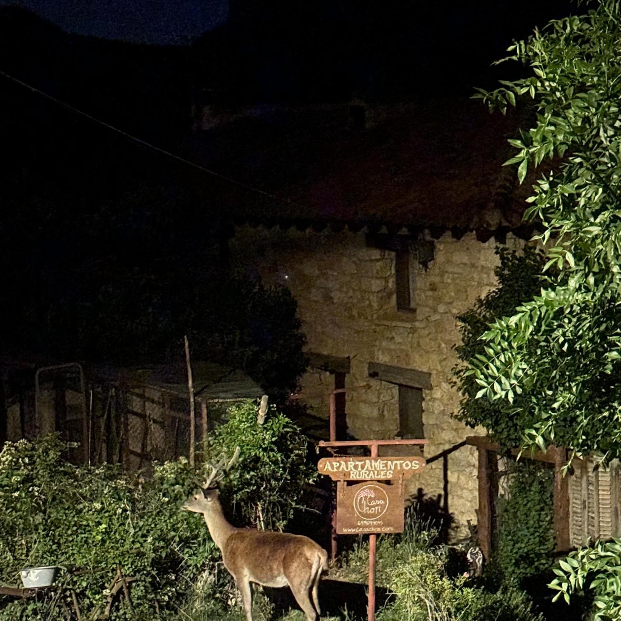Casas Rurales Chon Alto Tajo Peralejos de las Truchas Exterior foto